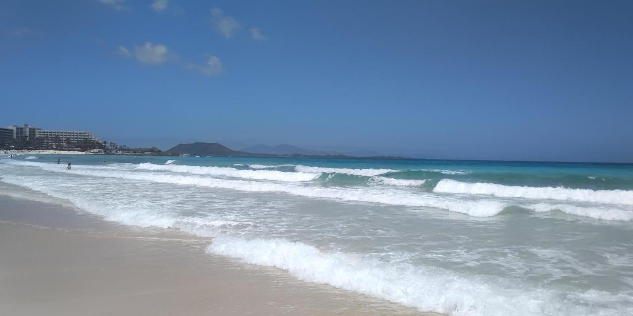 La Flor Del Atlantico Daire Corralejo Dış mekan fotoğraf