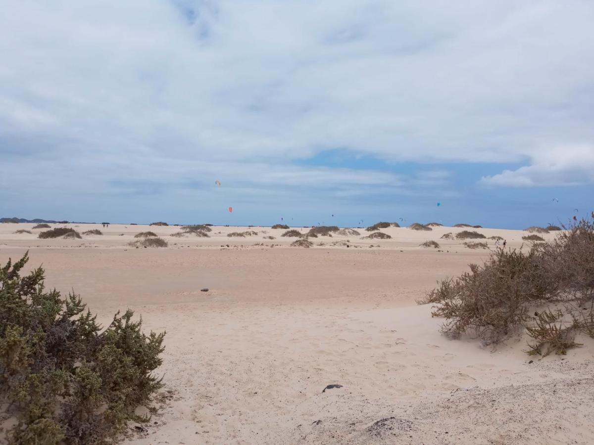 La Flor Del Atlantico Daire Corralejo Dış mekan fotoğraf