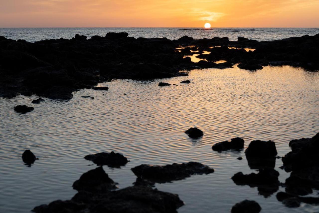 La Flor Del Atlantico Daire Corralejo Dış mekan fotoğraf