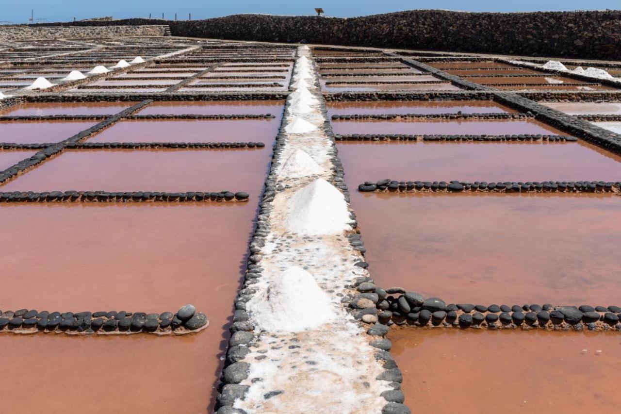 La Flor Del Atlantico Daire Corralejo Dış mekan fotoğraf